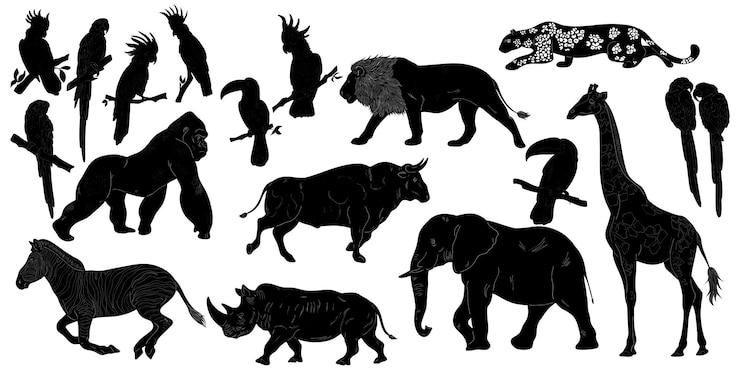 Vector afrikaanse dieren en vogels set natural look black vector silhouette design element