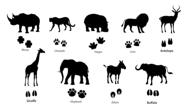 Afrikaanse dieren silhouetten met voetafdrukken