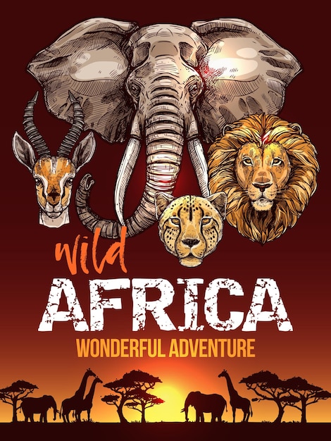 Afrikaanse safariposter met schetsen van wilde dieren