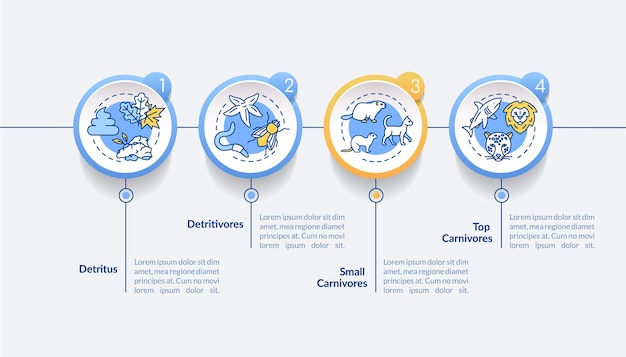 Afval voedselketen vector infographic sjabloon. Detritivoren en carnivoren presentatie ontwerpelementen. Datavisualisatie met 4 stappen. Proces tijdlijn grafiek. Workflowlay-out met lineaire pictogrammen