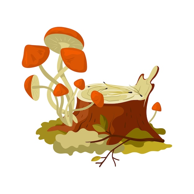 Vector agaric honey wild mushrooms in cartoon style