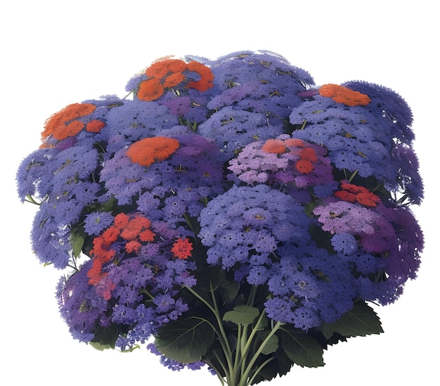 Ageratum littoral billy goat weed chick weed goat weed white weed