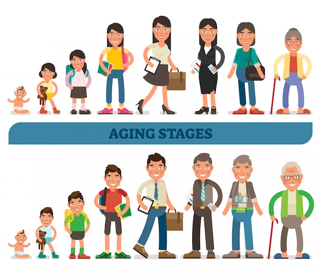 Vector aging stages