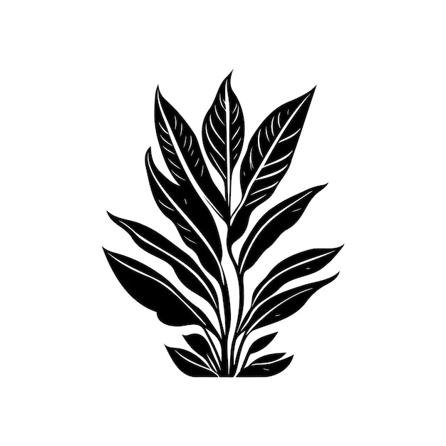 Aglaonema icona disegno a mano logo vegetale nero elemento vettoriale e simbolo