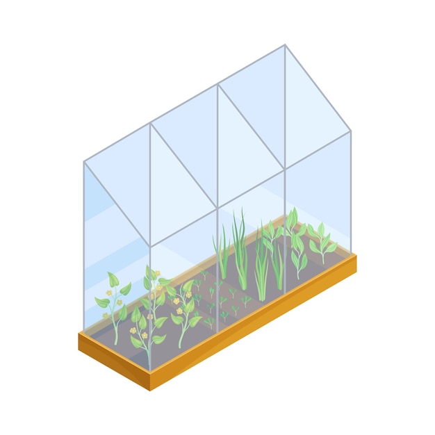 Agricultural Crops or Vegetables Growing on Germination Bed Vector Isometric Illustration