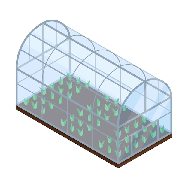 Illustrazione isometrica vettoriale delle colture agricole o delle verdure che crescono sul letto di germinazione