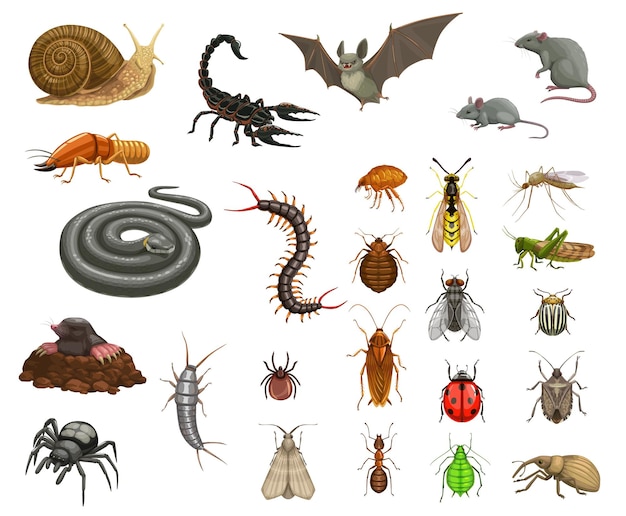 Vector agricultural home pests insects and animals set