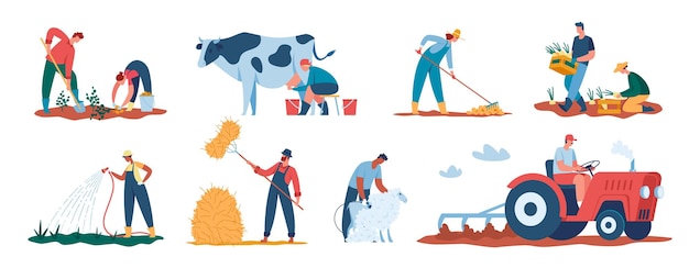 Lavoratori agricoli che raccolgono piante agricoltori che lavorano nei campi innaffiando colture tosando pecore vettore