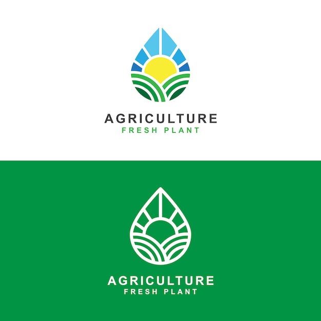 Agriculture farm with sun and fresh water drop logo concept   template