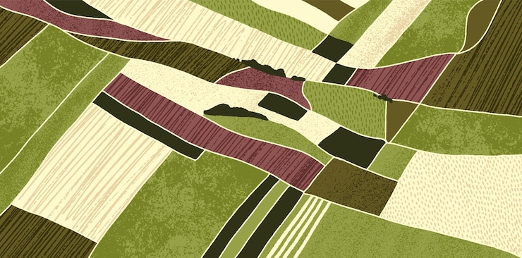 Vector agriculture field pattern aerial view countryside grassland farm land from top geometric farmland patches padded mosaic country background natural patchwork texture flat vector illustration