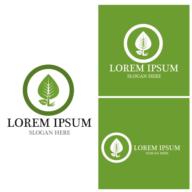 Agriculture icon and symbol vector template