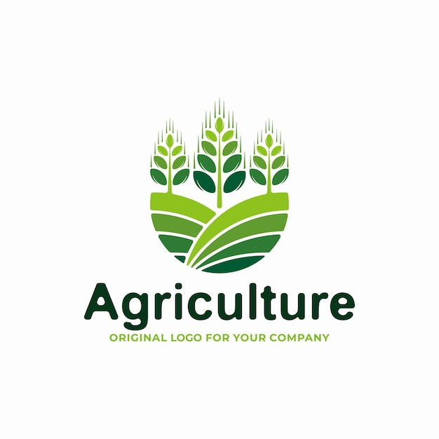 Vettore modello di progettazione di logo di grano/grano di agricoltura.