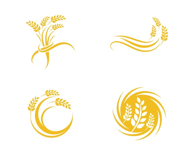 Agriculture wheat Logo Template vector icon design