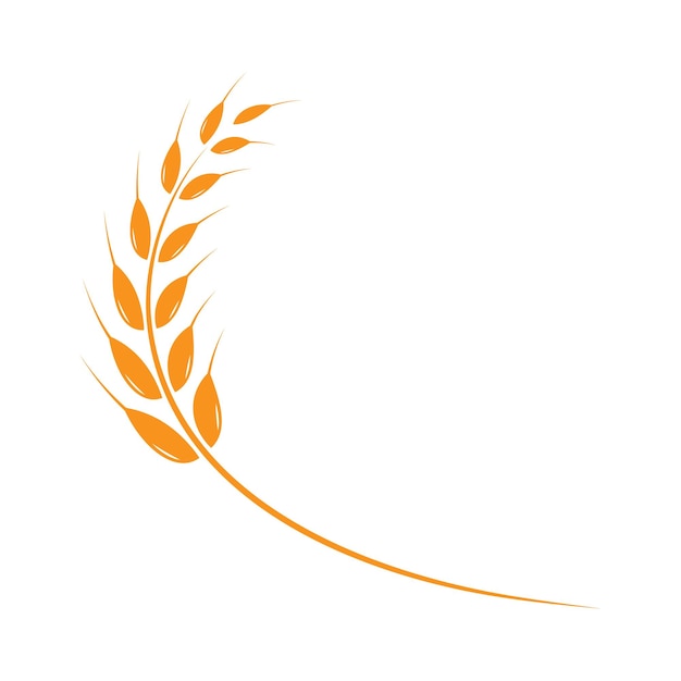 Agriculture wheat Logo Template vector icon design