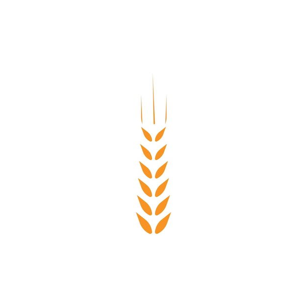 Disegno dell'icona di vettore del modello di logo del grano di agricoltura