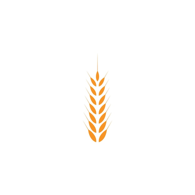 Vector agriculture wheat logo template vector icon design