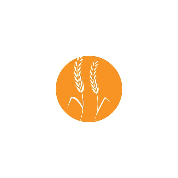 agriculture wheat logo template vector icon design
