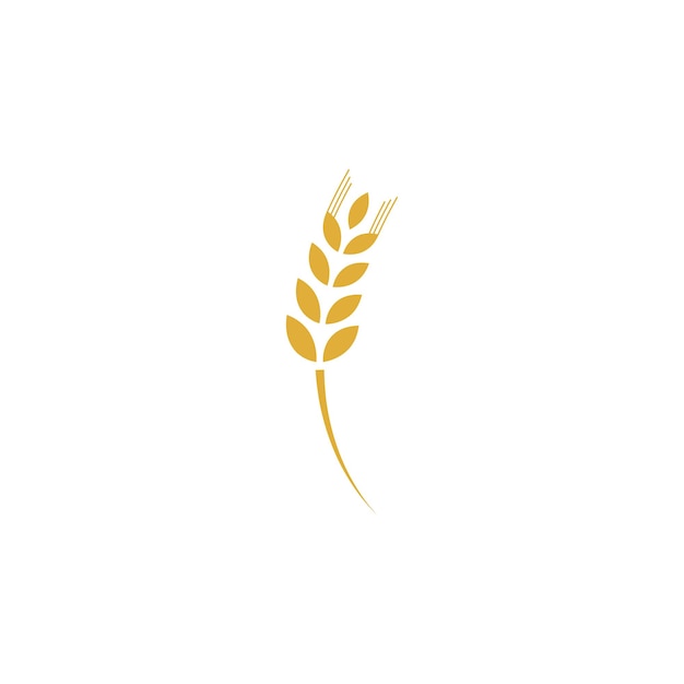 Agriculture wheat logo template vector