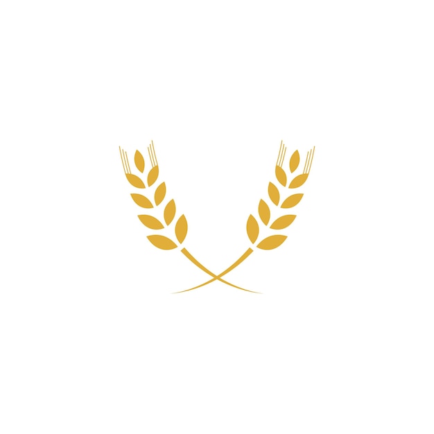 Agriculture wheat logo template vector