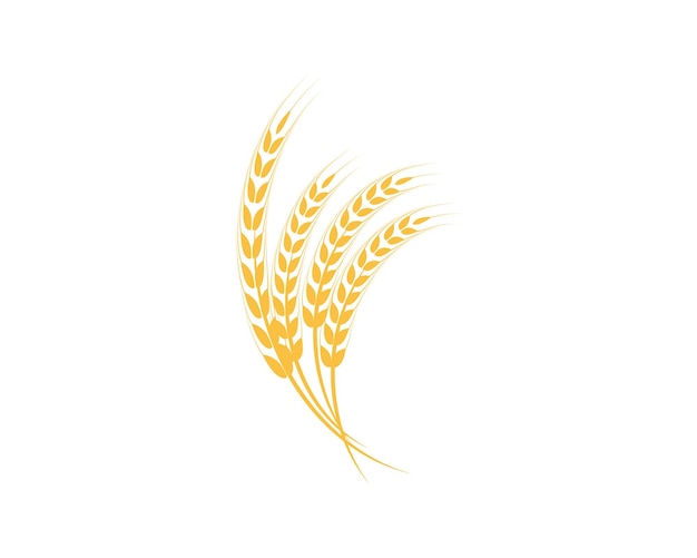 Agriculture wheat logo template