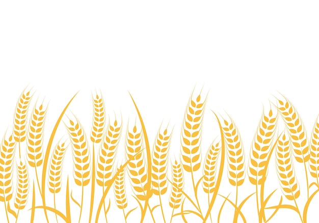 Agriculture wheat Logo Template