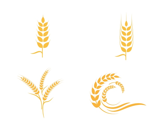 Agriculture wheat Logo Template