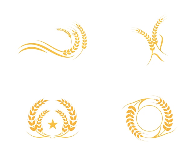 Agriculture wheat Logo Template