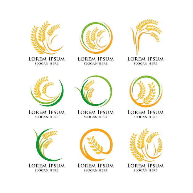 Agriculture wheat logo template