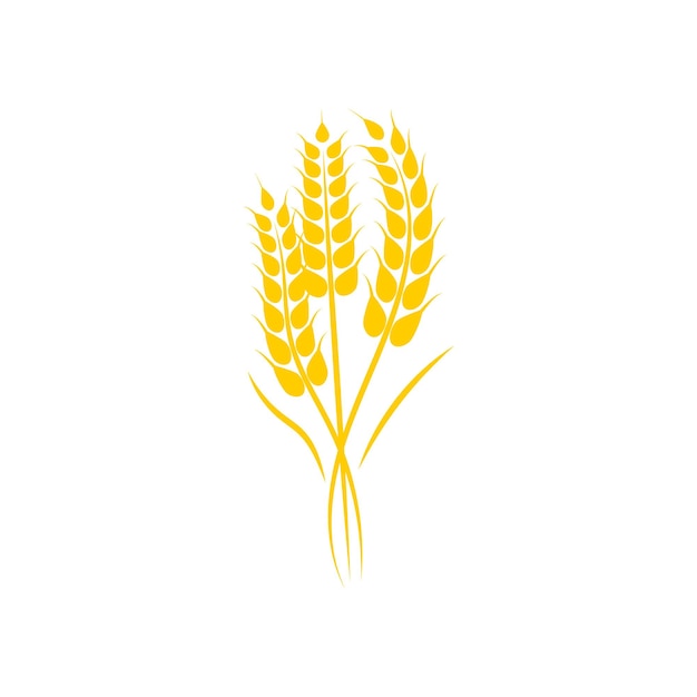 Agriculture wheat logo vector template symbol design