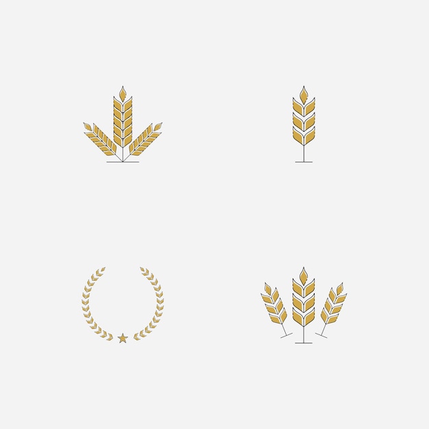 Agriculture wheat logo vector