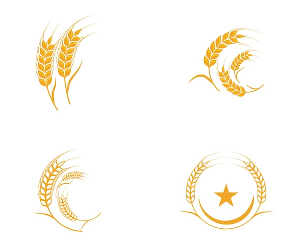 Agriculture wheat Template vector icon design