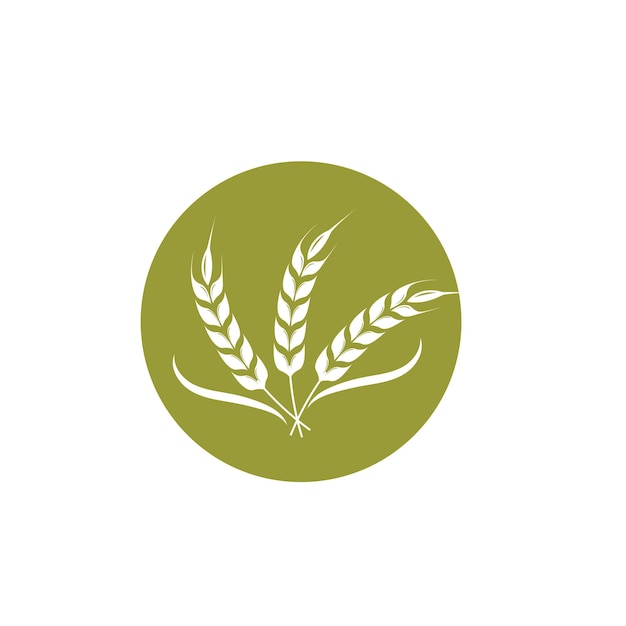 Modello di progettazione dell'illustrazione dell'icona di vettore del grano agricolo