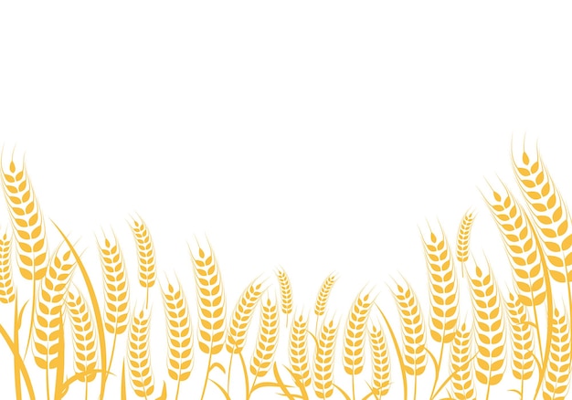 Agriculture wheat vector Illustration design