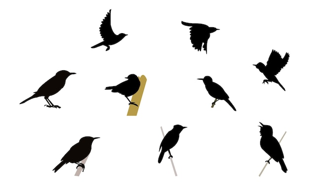Aguiguan riet warbler vogel silhouet ontwerp en vector illustratie