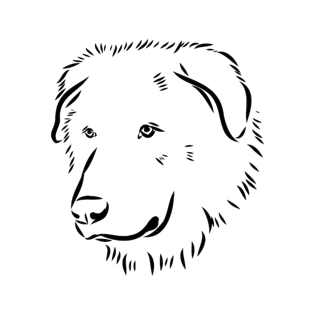 Vector aidi dog vector sketch outline pencil drawing artwork black character on white background realistic breed pet