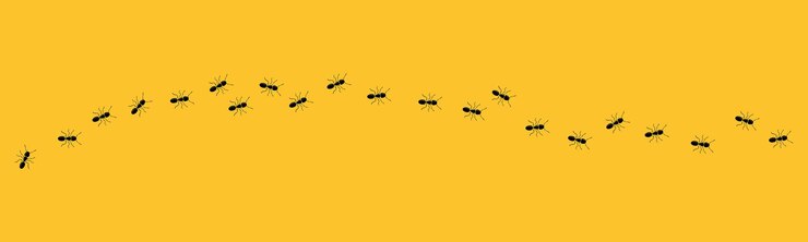 Vector aint trail ant column black insect silhouettes trip teamwork hard work concept