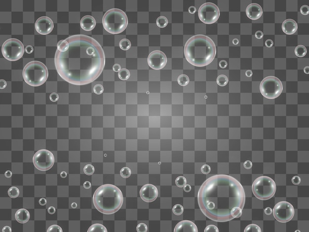 Air soap bubbles on a transparent background .Vector illustration of bulbs.