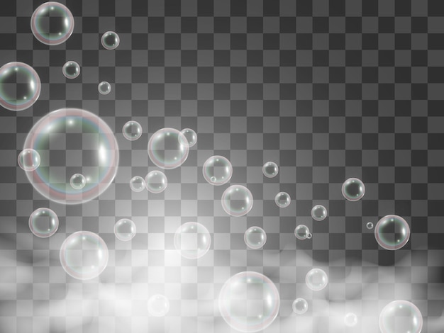 Air soap bubbles on a transparent background .Vector illustration of bulbs.