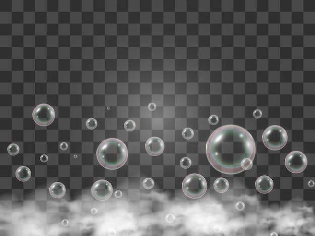 Air soap bubbles on a transparent background .Vector illustration of bulbs.