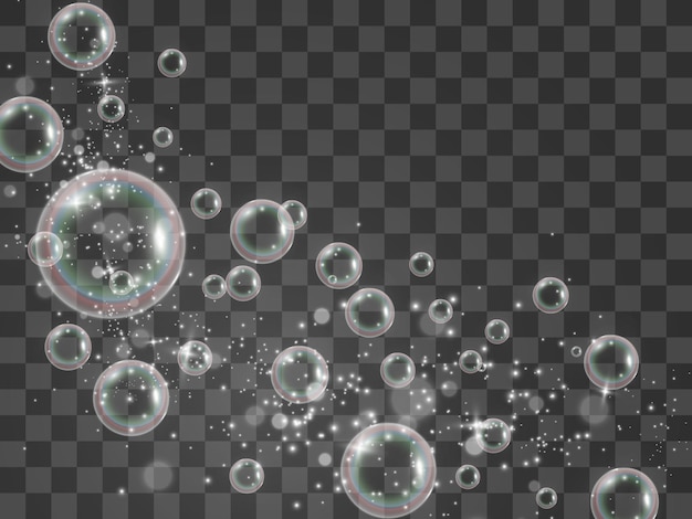 Air soap bubbles on a transparent background .Vector illustration of bulbs.