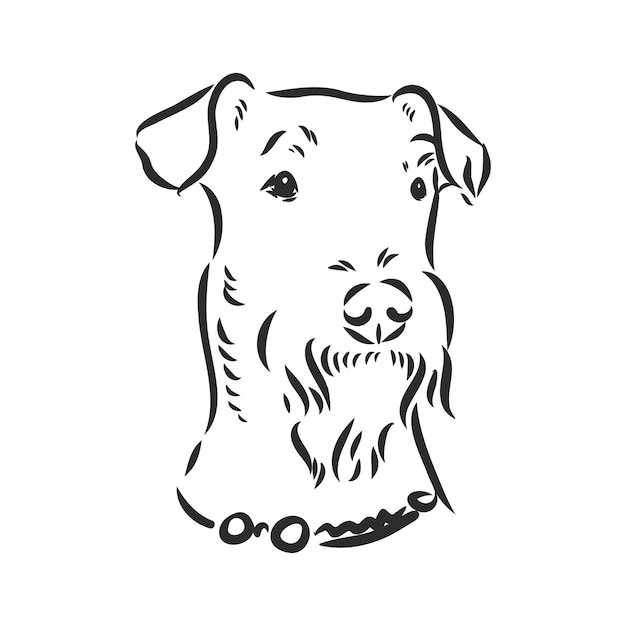 Airedale terrier dog. hand drawn. vector illustration airedale terrier dog vector sketch