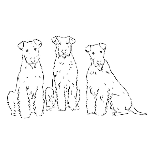 Cane airedale terrier. disegnato a mano. illustrazione vettoriale