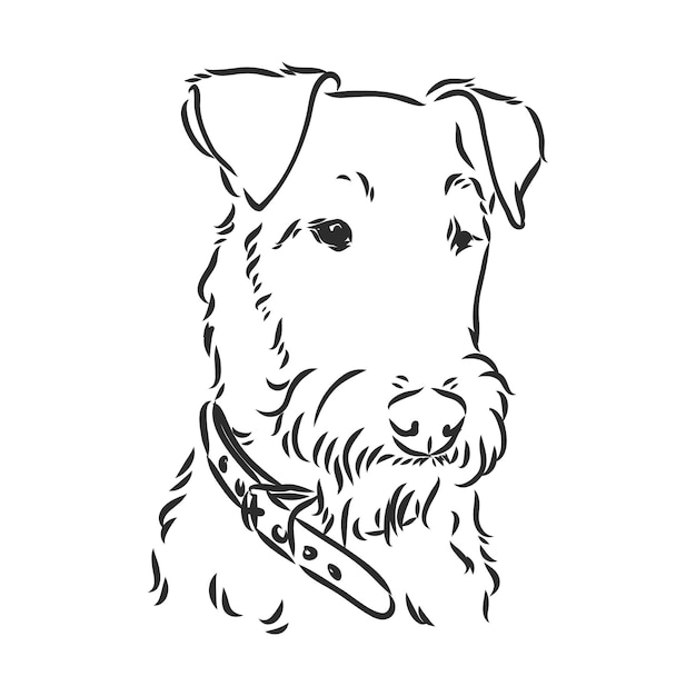 Airedale Terriër hond. hand getekend. Vector illustratie airedale terrier hond vector schets