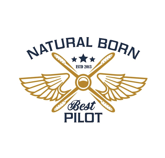 Vector airplane pilots crew icon plane propeller wings