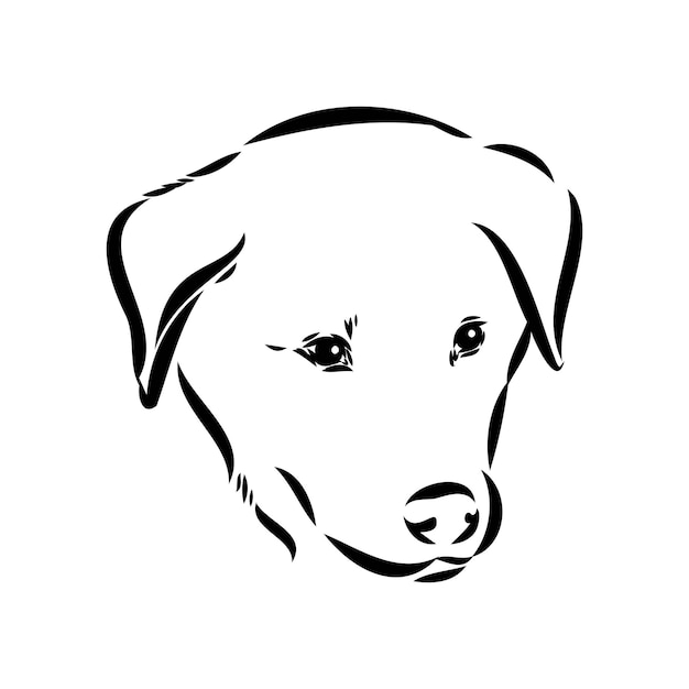Vettore disegno a mano di un cane akbash illustrazione vettoriale isolata su sfondo bianco disegno vettoriale di un cane akbash