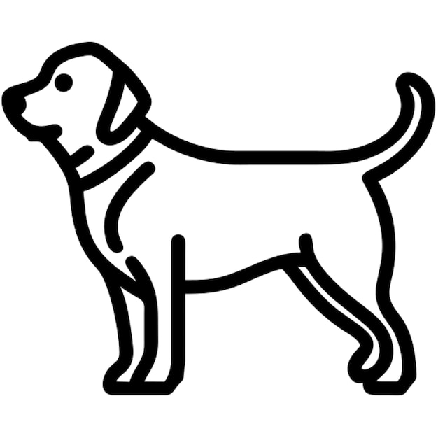 Vector akbash dog icon outline