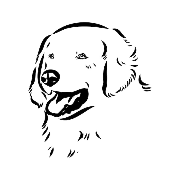 Akbash hond handtekening vector illustratie geïsoleerd op witte achtergrond akbash hond vector schets