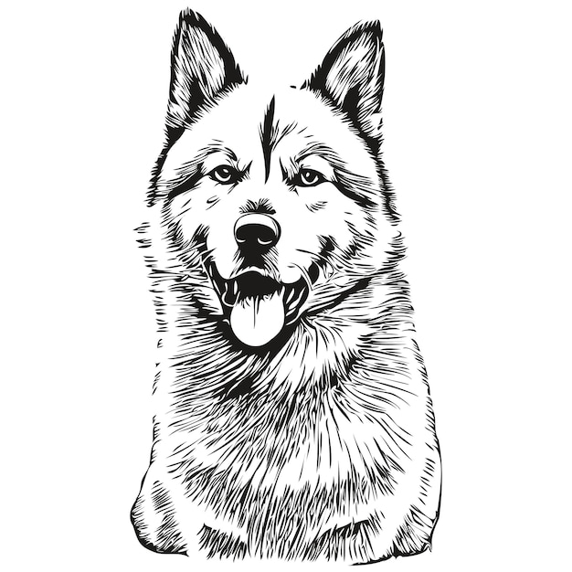 akita dog hand drawn logo drawing black and white line art pets illustration realistic breed pet