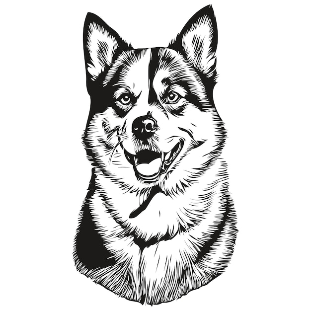 Vector akita dog ink sketch drawing vintage tattoo or t shirt print black and white vector sketch drawing