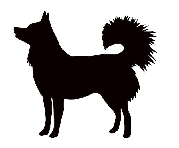 Alaskan klee kai silhouette of a standing dog